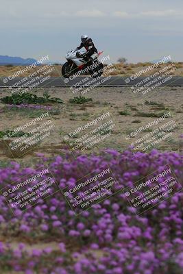 media/Jan-14-2023-SoCal Trackdays (Sat) [[497694156f]]/Turn 14 Exit Bloomig (145pm)/